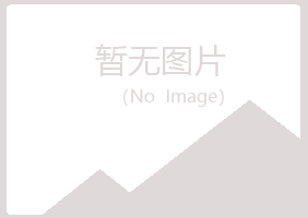 阳曲县冰夏建设有限公司